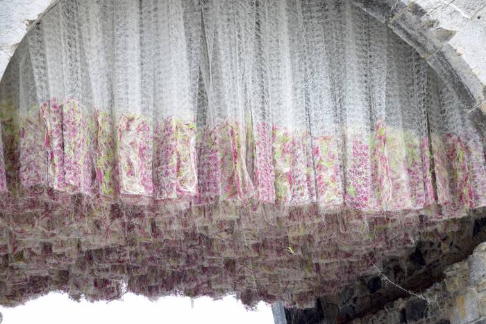 Lore eta Landare azoka Tolos 36 1652529031586