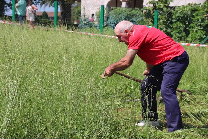 Erabaki dira Euskal Herriko  56 1532870620275