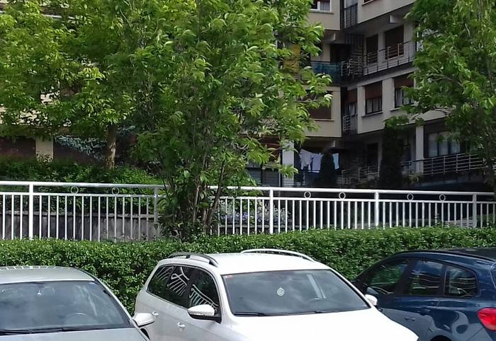 Irisgarritasun proiektuak Vi 2 1557909697623