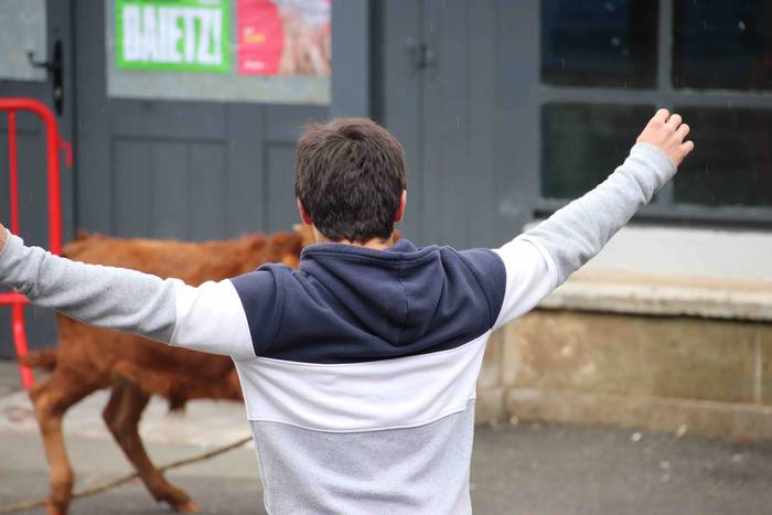 Amasako San Martinak 2019 27 1573305144543