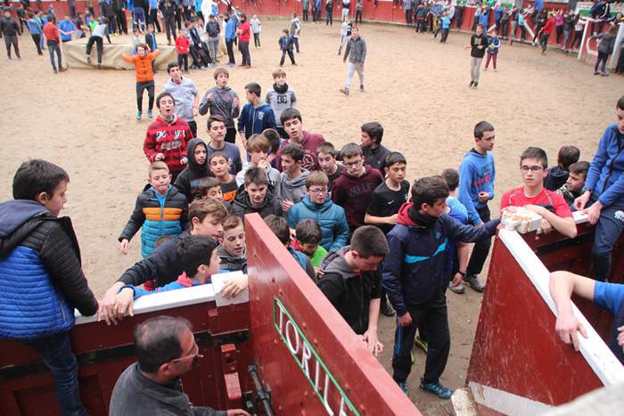 Txaranga eta zezenak piñata  31 1488738904022