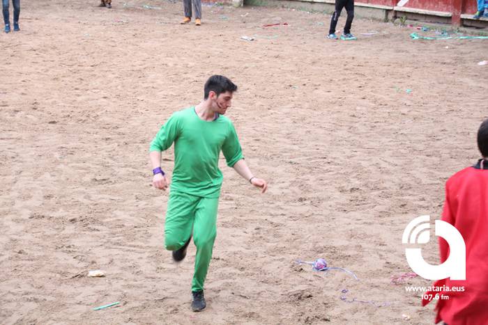 Zezenak adarrak okerrak ditu 71 1488277569035