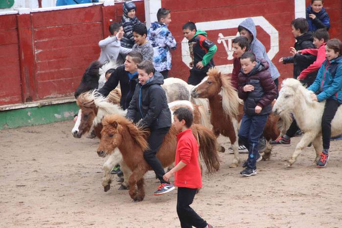 Txikienak zezen txikien aurr 21 1552240883743