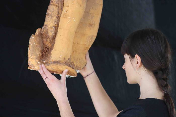 Torturaren egia itzaletik ar 20 1644760679005