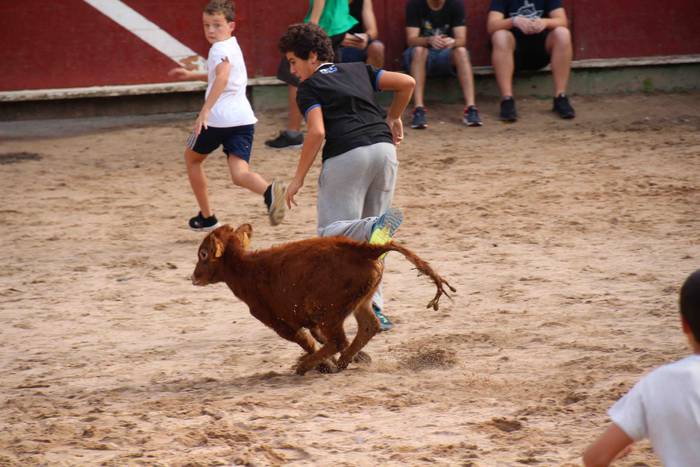 Zezen plaza hartu dute umeek 19 1539360670399