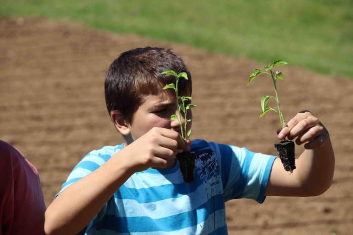 Erein dituzte lehen piperrak 11 1559303463972