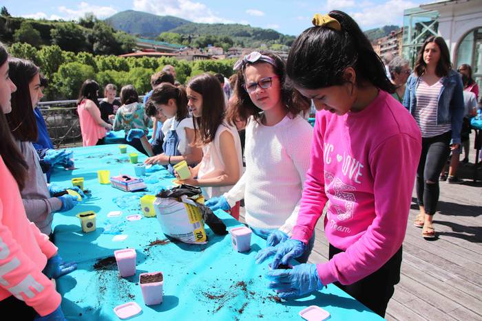 Tolosako Babarruna erein da 16 1559904706694