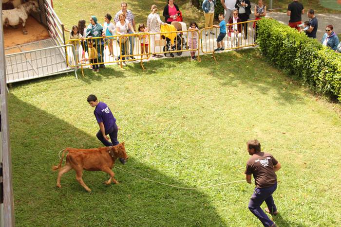 Ikaztegietako Jaiak 2017, um 2 1502457155061