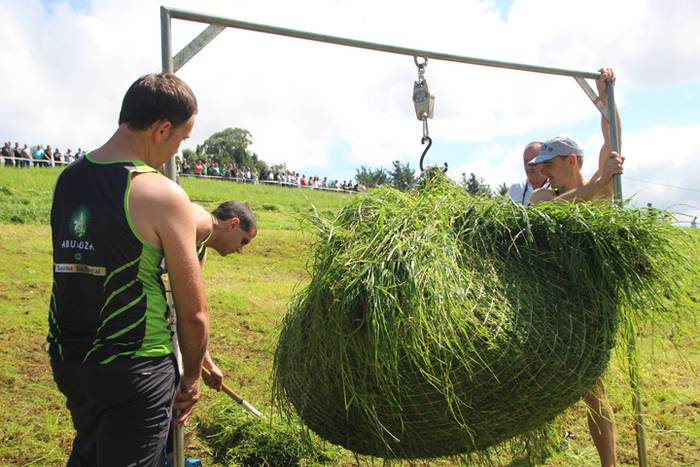 Julen Gabirondo Izeta, Euska 4 1502045720611