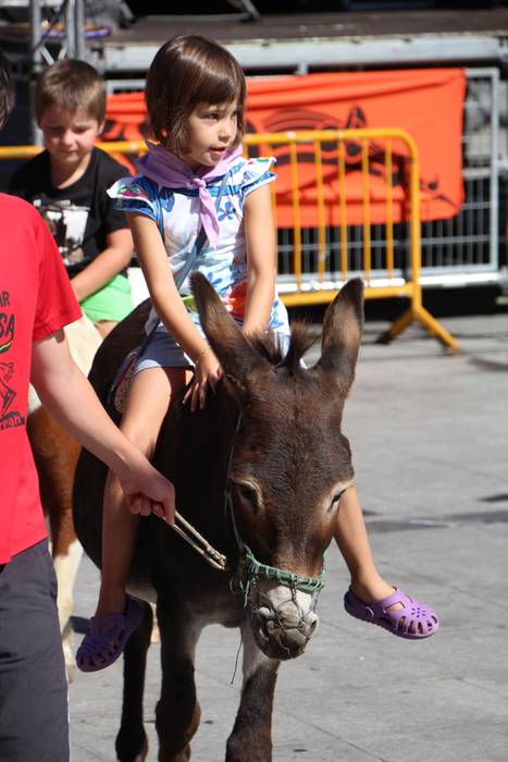 Gazteen festa egarriak ez du etenik 16 1472122504242