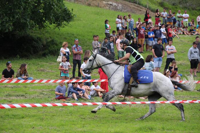 Zaldien gainean lehian 37 1497207326674