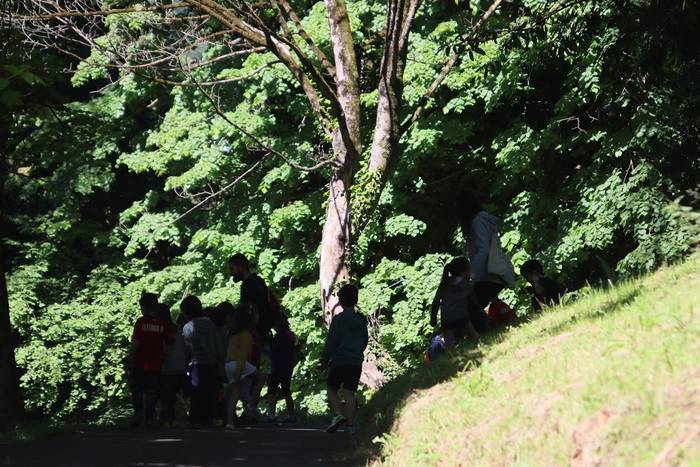 Elosegi parkeko biodibertsit 5 1559225130031