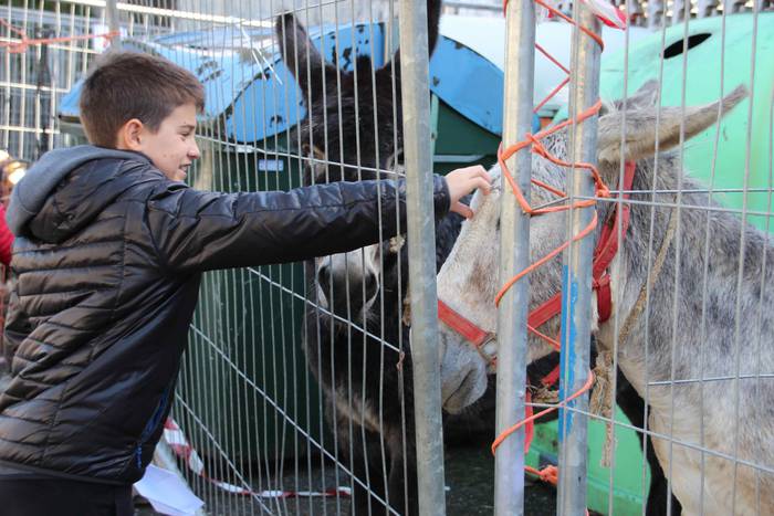 Denetik eta denentzat, Bedai 33 1541343597649