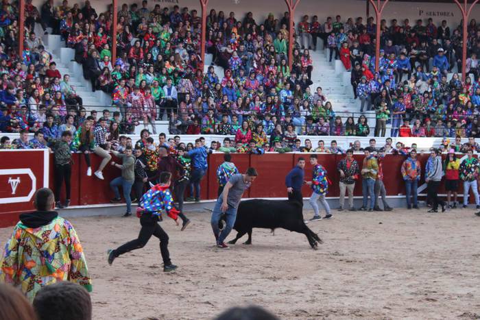 Inauteriak 2020, zezenak Ost 11 1582222545231