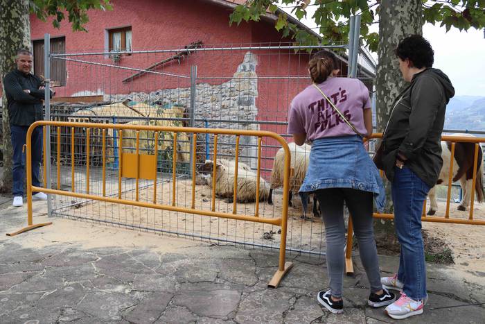 Herriko abereek eta inguruko 37 1667129844617