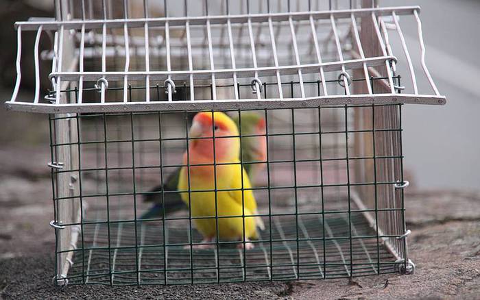 san anton berastegi 2016 9 1453114661910