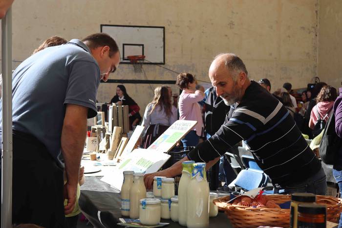 Zer ikusi izan da Bedaion 20 1668343704695