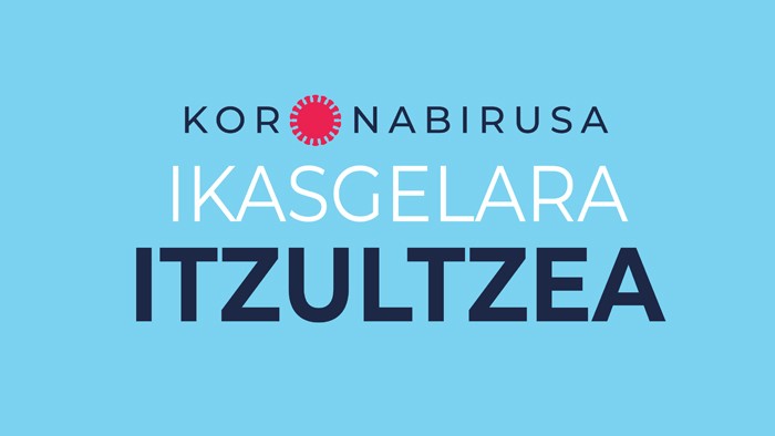 Ikasgelara itzultzea