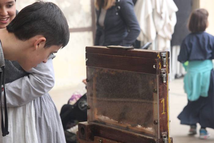 Inork ez du galdu nahi izan 9 1509293511683