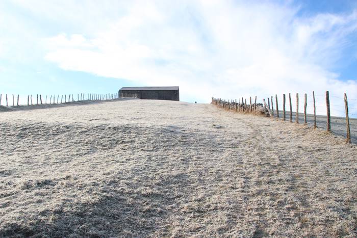 Txurituta esnatu da San Seba 11 1484957424851