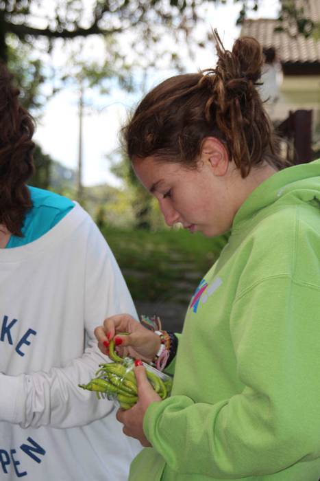 Piperraren zikloa 2015 29 1445442222061