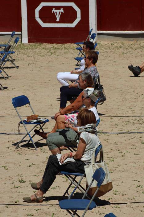 Bertso saioa Tolosako zezen  25 1592740353929