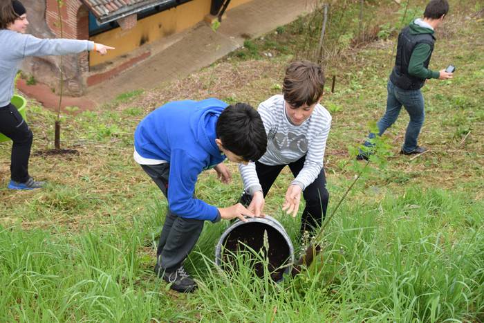 Zuhaitz eguna Ibarra 5 1460992034529