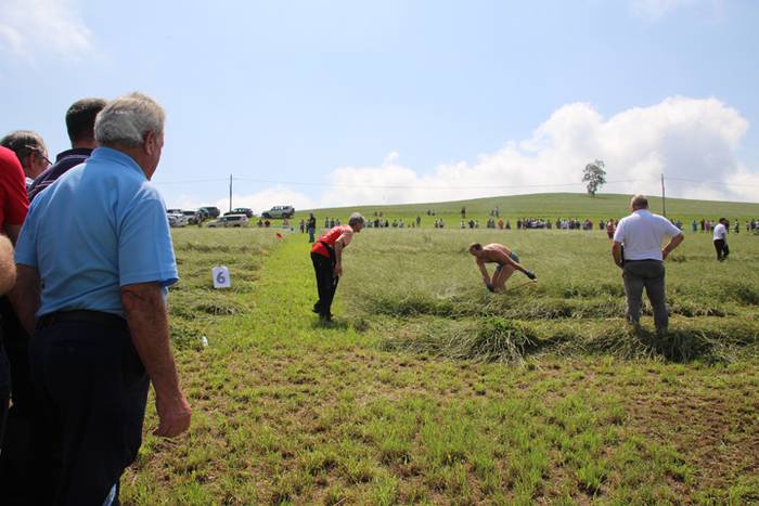 Jesus Mari Ormaetxea, Urki,  5 1499608033410