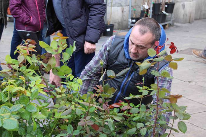 Tolosako Lore eta Landare Az 20 1549717203479