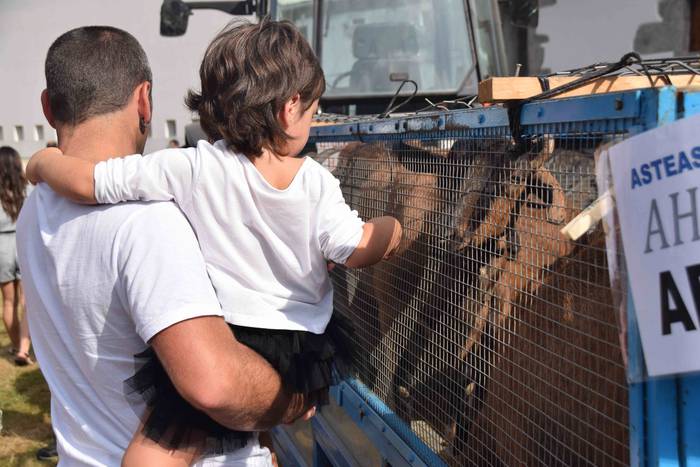 Jendetza mugitzen duen eguna 4 1538312847867