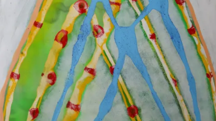 Erakusketa. Aitor Ruiz de Eguino