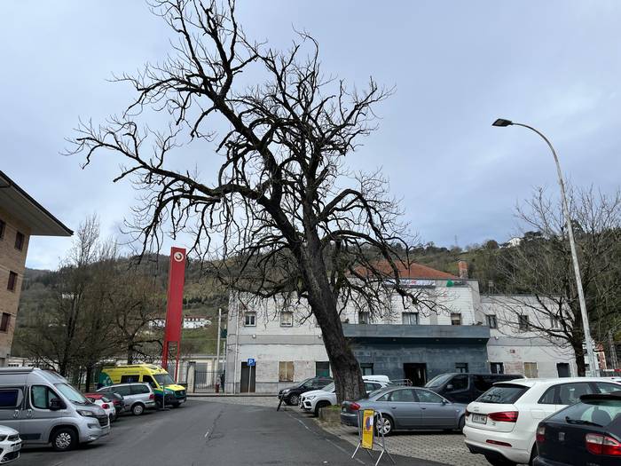 Geltoki plazako indigaztaina kenduko dute bihar