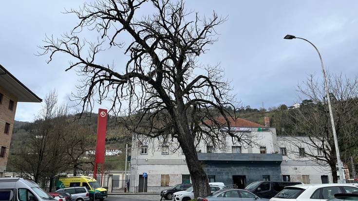 Geltoki plazako indigaztaina kenduko dute bihar