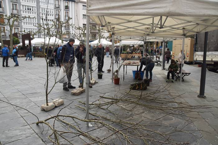 Zuhaitz Azoka, Tolosa, 2017 33 1486819751683