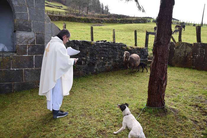 Animaliek jaso dute San Anto 18 1547722524865