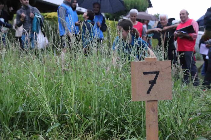 Sega Liga 2. jardunaldia Alt 41 1654367758223