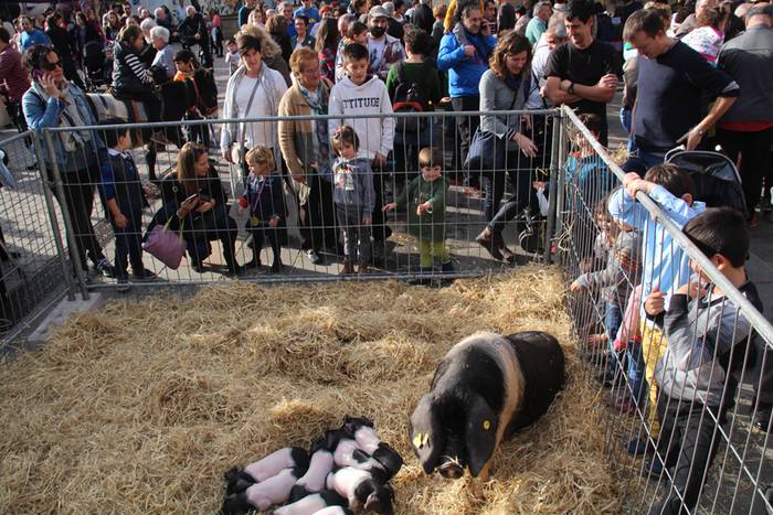 Tolosa Gabonetako Azoka berezia 2015 32 1450532625062