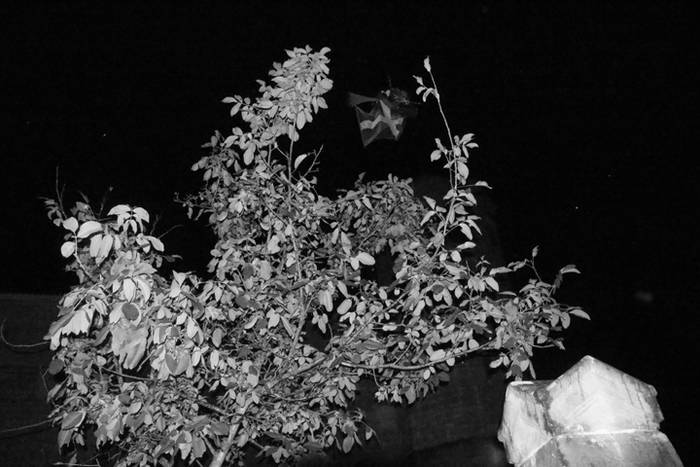 Gazteak protagonista San Martin bezperan 8 1478782290297