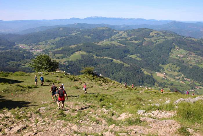 T3T, Hernio 2019 75 1560688442154