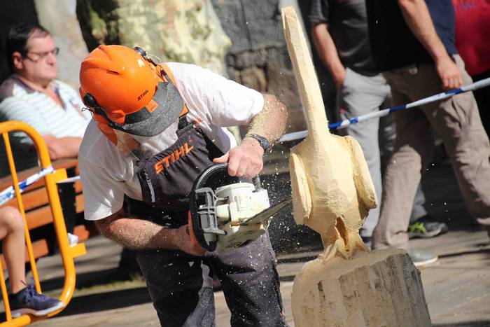 Adunako Jaiak 2018 Casteller 5 1534271271052