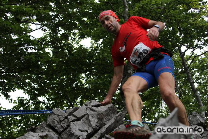 T3T tontor 2016 hernio 35 1466351083757