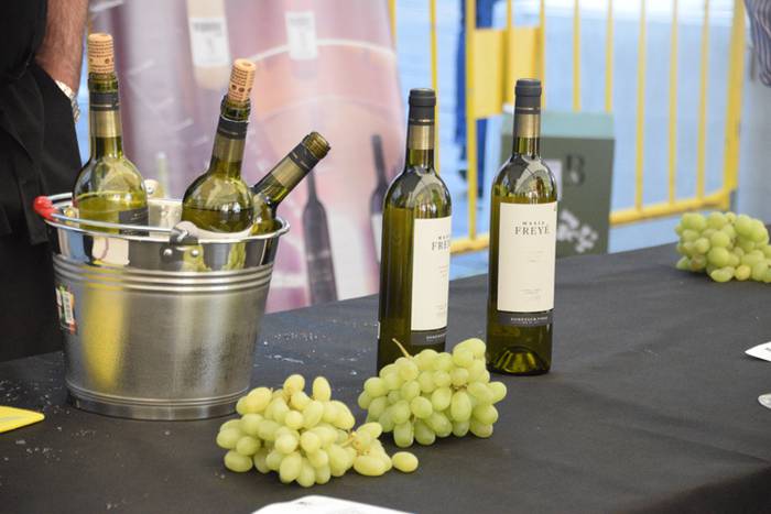 Gure Txokoa elkartearen ardo 4 1491650470782