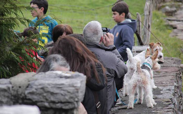 san anton berastegi 2016 2 1453114655802
