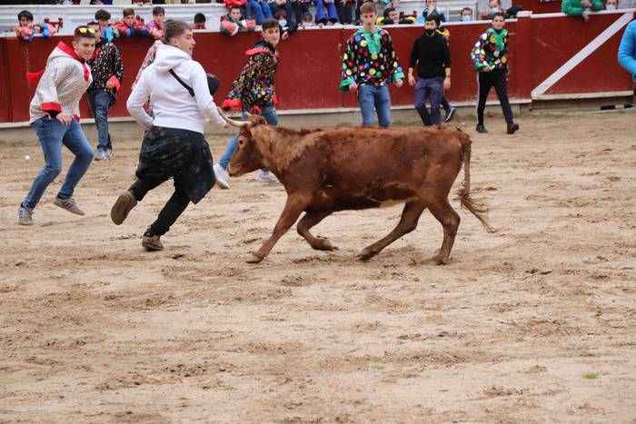 Itzuli dira plazara 47 1645726405214