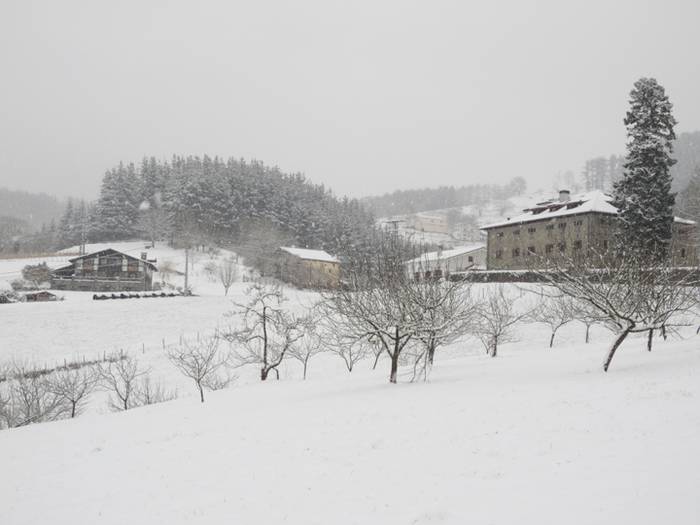 Argazki galeria: Tolosaldea, 50 1519809968932