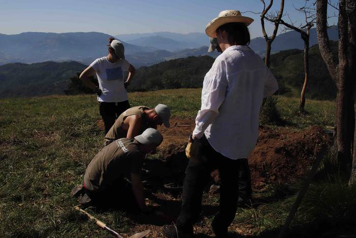 Saseta Defentsa Sistema auzo 20 1658491985493