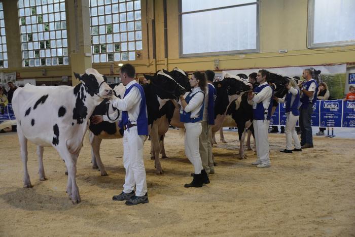 Aurten ez dute Euskal Herriko Frisoi Txapelketa egingo