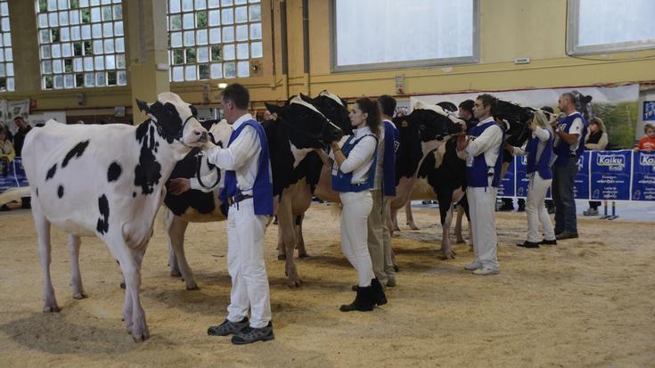 Aurten ez dute Euskal Herriko Frisoi Txapelketa egingo