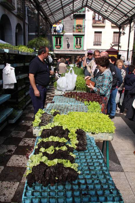 Udaberria loratu da Tolosan 17 1526734083868