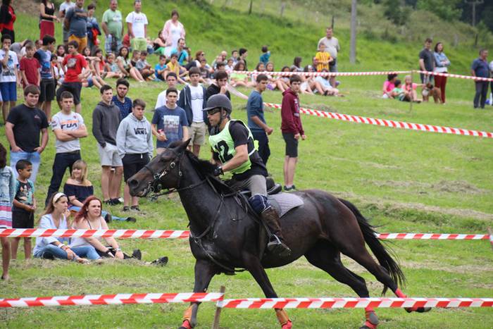 Zaldien gainean lehian 9 1497207151477